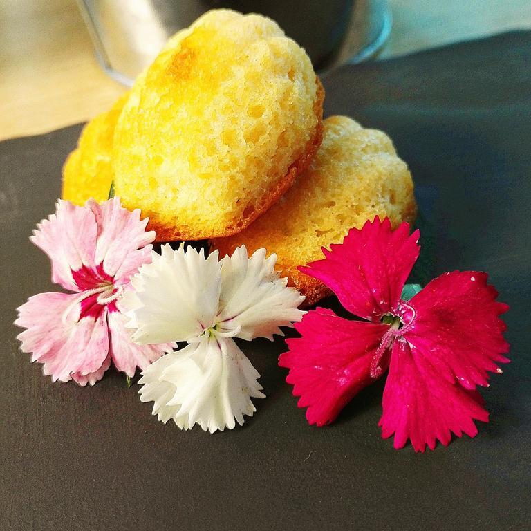 Hotel Libera Caen Colombelles Ngoại thất bức ảnh